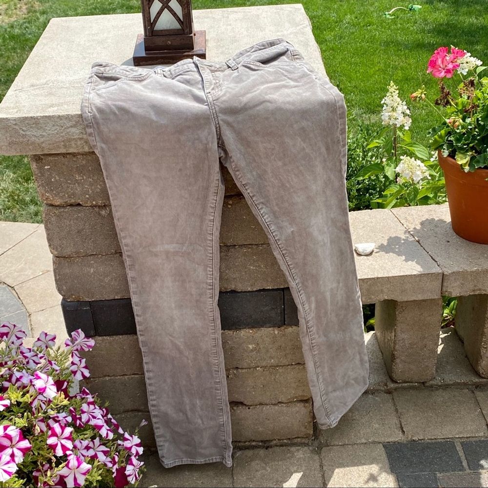 Pilcro and the Letterpress • Greige Cordoroy Pants 30